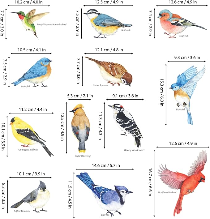 DECOWALL DS2-8042 Little Birds Wall Stickers Wall Decals Peel and Stick Removable Wall Stickers for Kids Nursery Bedroom Living Room (Small)