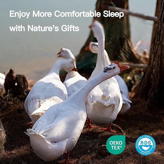 Goose Down Fiber Comforter California King Size, 100% Cotton Luxurious Hotel Duvet Insert for All Season, Fluffy and Cozy with 8 Corner Tabs Medium Warmth 104 x 96 Inch White