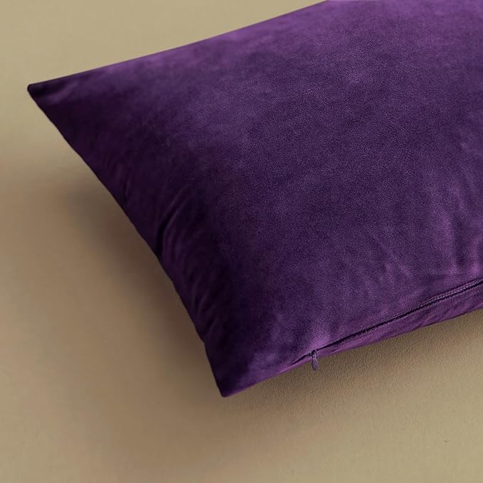 MIULEE Pack of 2, Velvet Soft Solid Decorative Square Throw Pillow Covers Set Cushion Case for Sofa Bedroom Car 20 x 20 Inch 50 x 50 Cm