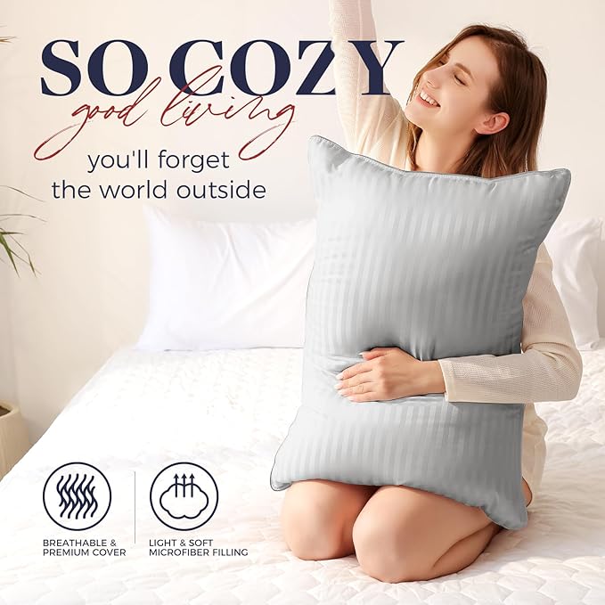 Basic Beyond Pillows Queen Size Set of 2 - Soft Down Alternative Pillows Set of 2 for Back, Stomach or Side Sleepers, Silver, 20x28 Inches