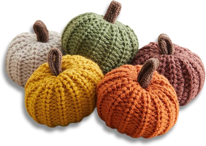 Your Heart's Content MINI Knit Pumpkins Set of 5, Fall Favorite, Gifts for Women, Autumn Bowl fillers Fall Farmhouse Tier Tray Decor, Decorative Pumpkins for Friend (Autumn Set)