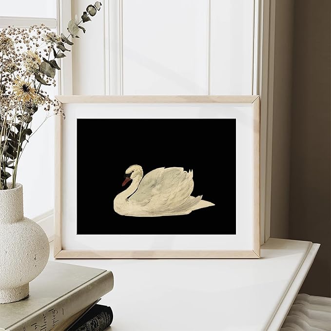 XOCUUI Vintage Swan Canvas Wall Art for Living Room, Vintage Home Decor Animal Oil Painting Summer Room Decor Bathroom Wall Decor, Swan Black And White Wall Art Prints - 11" X 14" - Unframed