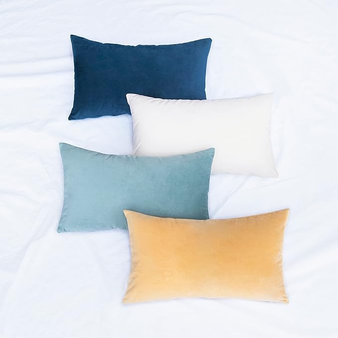 MONDAY MOOSE Decorative Throw Pillow Covers Cushion Cases, Set of 4 Soft Velvet Modern Designs, Mix and Match for Home Decor, Pillow Inserts Not Included (12x20 inch, Blue/Beige)