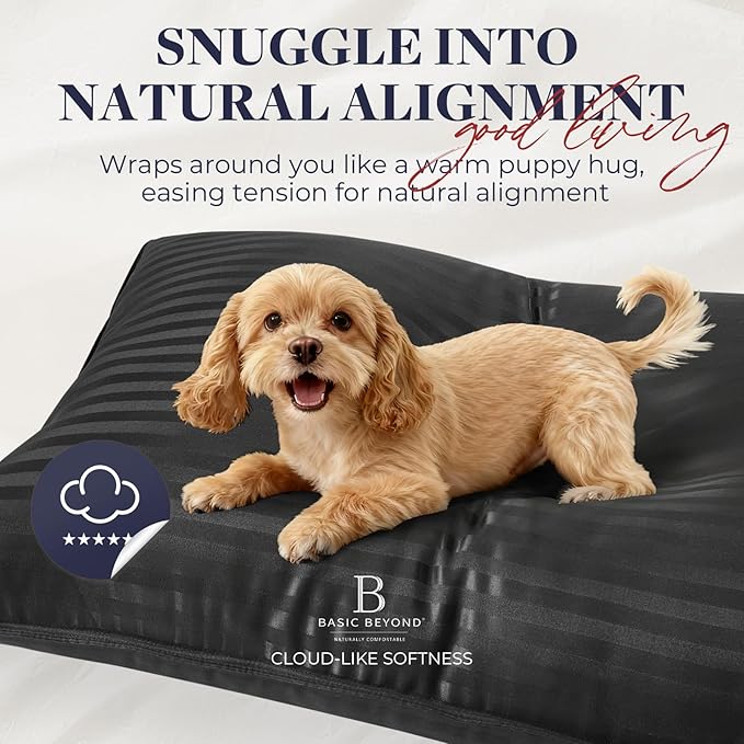 Basic Beyond Queen Size Pillows for Sleeping - Soft Down Alternative Pillows Luxury Hotel Collection Bed Pillows Queen Size Set of 2,Black,20x28 Inches