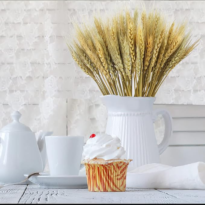 CISDUEO 100 Pcs Dried Wheat Stalks Bundle Grass Natural Dried Wheat Sheaves Stems Dried Flowers Arrangement Bouquet for Wedding Party Table Centerpiece Fall Harvest Wreath Boho Decor Farmhouse DIY