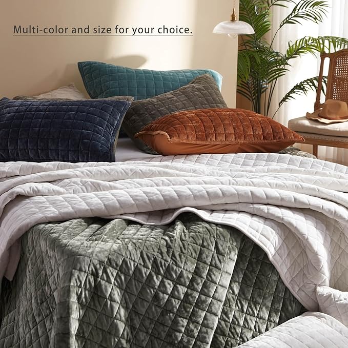 LEAONME Velvet Quilt King Size-98''x106'', Lightweight Aqua Green Velvet Comforter Set with 2 Pillow Shams, Soft Bedspread Coverlet Quilted Bedding Set for All Season