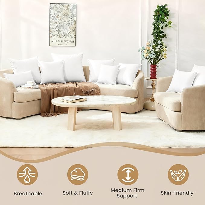 BHZ Euro Throw Pillow Inserts, 24x24 Down Feather Alternative Pillow Inserts Set of 2, Decorative Soft Large Square White Throw Pillows Insert for Couch Bed Dorm Sofa with Cotton Cover