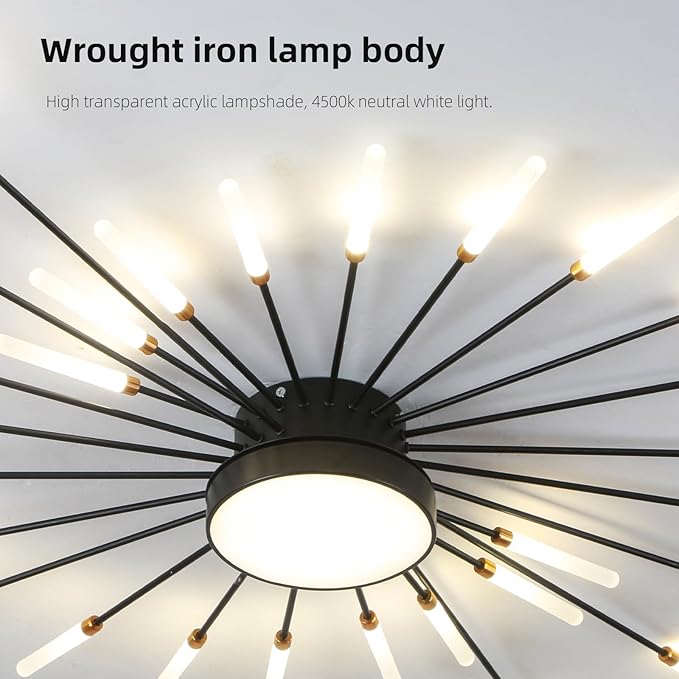 JAYMP Ceiling Light Modern Flower Shape Ceiling Lamp for Living Room Dining Room Flush Mount Metal Acrylic Sputnik Firework Petal LED Lighting Fixture (Matte Black, 28+1 Lights)