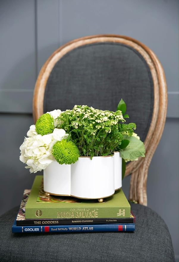 Jaye's Studio Mattie Quatrefoil Planter with Gold Trim, Metal Cachepot Planter, Decorative Flower Pots, Indoor Plant Pots for Living Room, Bedroom, Kitchen, Office, Clover Decor (White, 7x11)