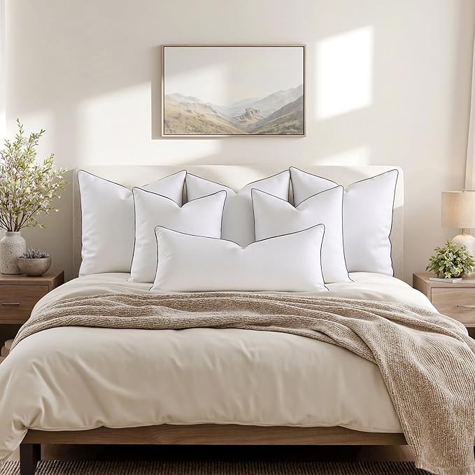 MIULEE Goose Feather Down 24x24 Pillow Insert Set of 2 with 100% Down-Proof Cotton Cover, Soft Fluffy Decorative Pillow for Sofa Bed Couch Living Room White