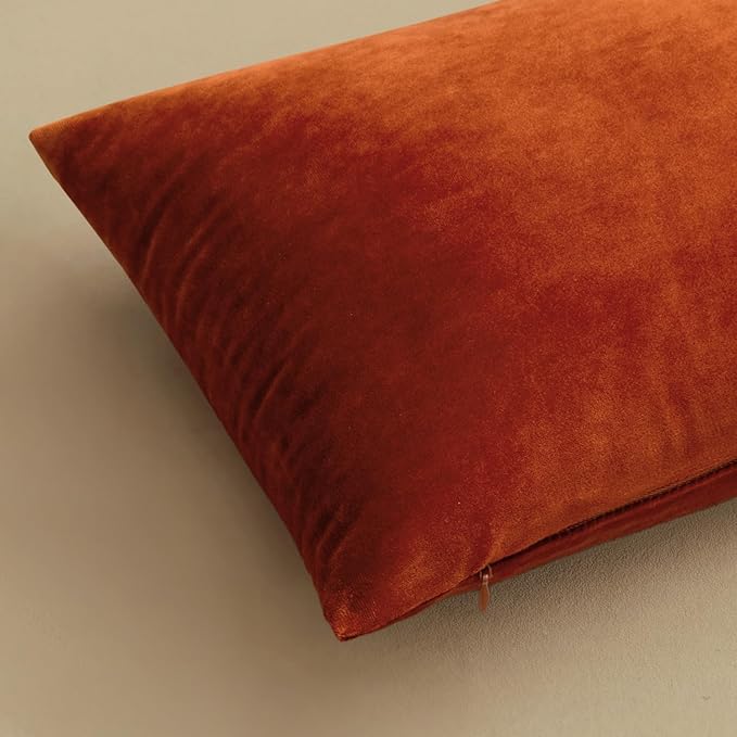 MIULEE Pack of 2 Burnt Orange Velvet Throw Pillow Covers 16x16 Inch Soft Solid Fall Decorative Square Autumn Cushion Case Home Decor for Couch Sofa Bedroom