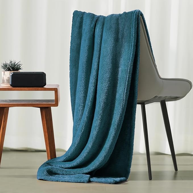 Plush Fleece Throw Blanket for Couch and Bed, Fluffy Fuzzy Cozy Queen-Size Soft Blankets All Season Use (60x80 Inches,Teal)