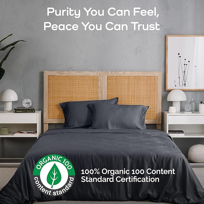Duvet Cover Set - 100% Viscose Derived from Bamboo Duvet Cover Queen Size, 3 PC Luxury Cooling Duvet Cover for Hot Sleepers, Buttery Soft Comforter Cover & 2 PC Queen Pillowcases, Charcoal