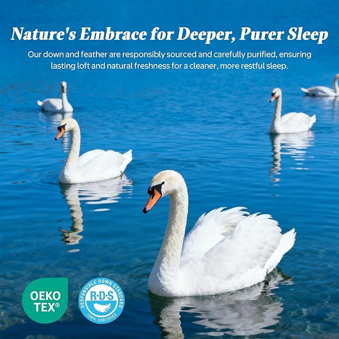 DWR Luxury Feather Down Fiber Comforter Super King Size, Ultra-Soft Egyptian Cotton-Blend Fabric, Light Weight for Hot Sleepers/Warm Weather Hotel Style Duvet Insert with Ties (120"x120", White)