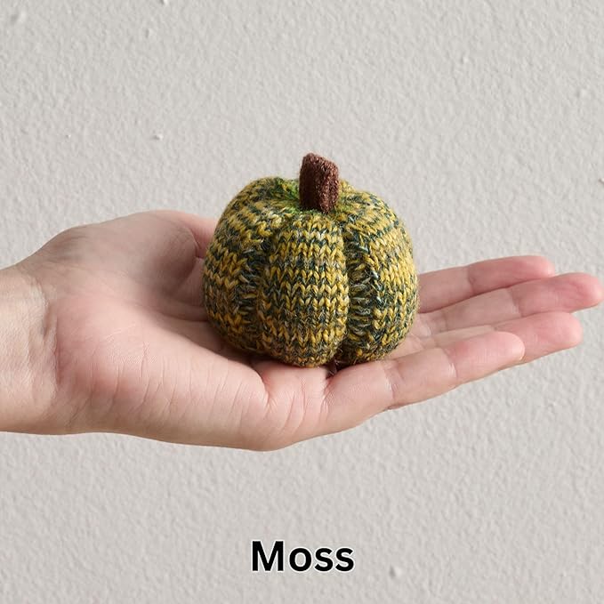 Your Heart's Content Cozy Mini Knit Pumpkins Set of 5 Juniper Green Fall Home décor, Table top Bowl Filler, Gift for New Apartment (Juniper 2.5 Inch Set)