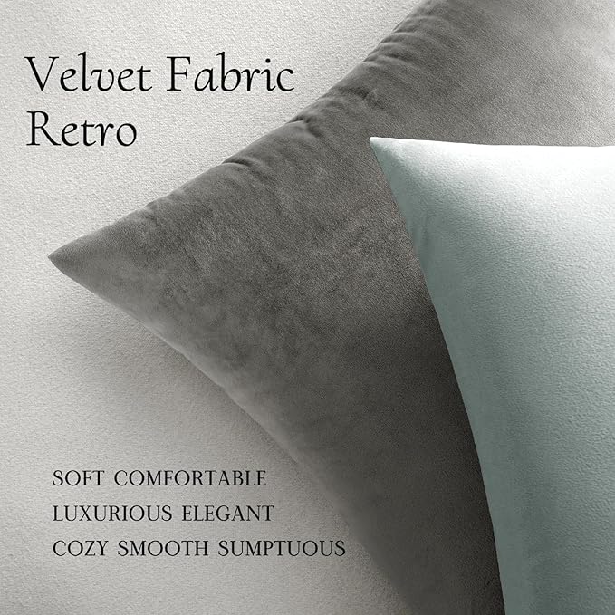 MIULEE Pack of 2, Velvet Soft Solid Decorative Square Throw Pillow Covers Set Cushion Case for Sofa Bedroom Car 20 x 20 Inch 50 x 50 Cm