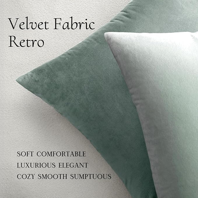 MIULEE Velvet Throw Pillow Covers 20x20 Inch Pack of 2,Soft Solid Decorative Pillowcases Modern Luxury Home Decor for Couch Sofa Bedroom Livingroom,Blue Aqua Haze