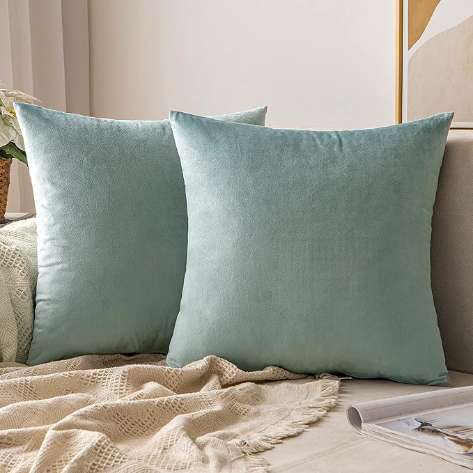 MIULEE Velvet Throw Pillow Covers 20x20 Inch Pack of 2,Soft Solid Decorative Pillowcases Modern Luxury Home Decor for Couch Sofa Bedroom Livingroom,Blue Aqua Haze