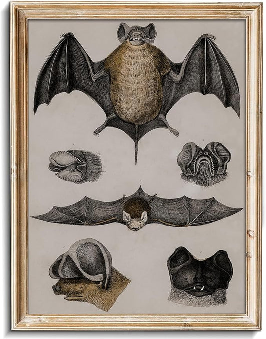 uniro Retro Bats Wall Decor Bats Wall Art Canvas Print,Vintage Hipster Gothic Wall Decor - Gift for Gothic, Horror, Vampire Fans Creepy Scary Anatomical Picture Poster for Home Living Room Office