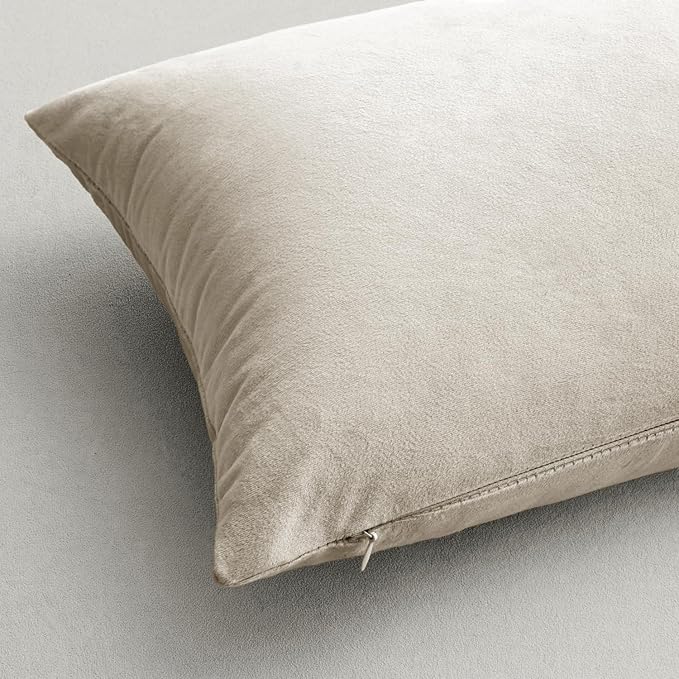 MIULEE 26x26 Inch Euro Sham Velvet Pillow Covers, Set of 2 Large Square Decorative Pillows -Cream White Super Soft for King Bed, Sofa, Couch, Accent Chairs with Hidden Zipper