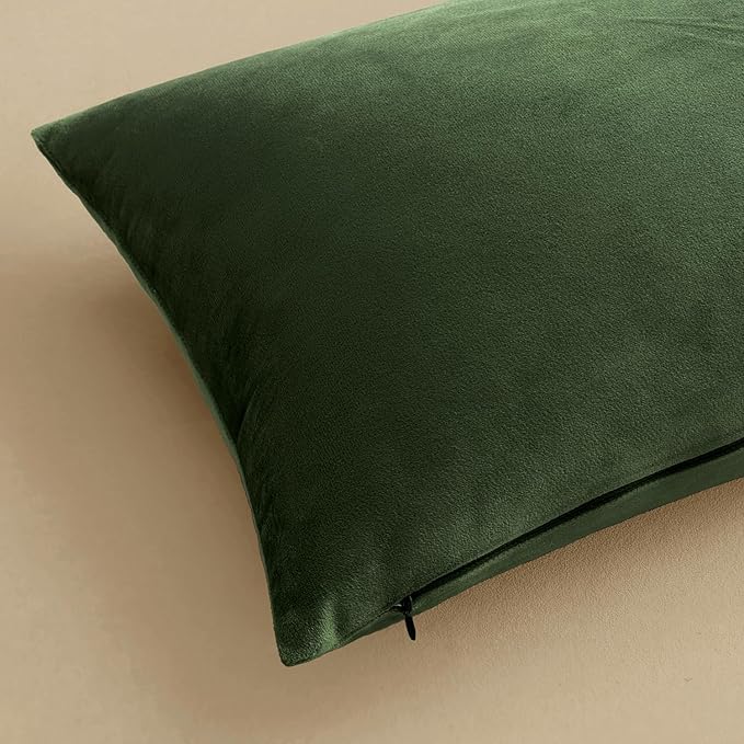 MIULEE 24x24 Inch Euro Sham Velvet Pillow Covers, Set of 2 Large Square Decorative Pillows -Moss Green Super Soft for King Bed, Sofa, Couch, Accent Chairs with Hidden Zipper