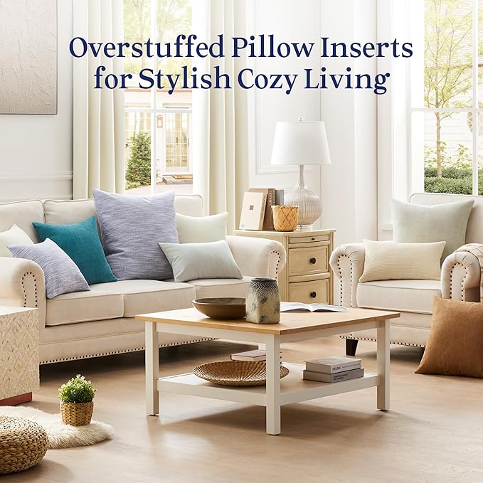puredown® 20x20 Pillow Inserts Set of 2, Overfilled Down Alternative Decorative Pillows with 100% Cotton Cover, Plush Fluffy Throw Pillows for Couch, Sofa, Bed and Home Decor