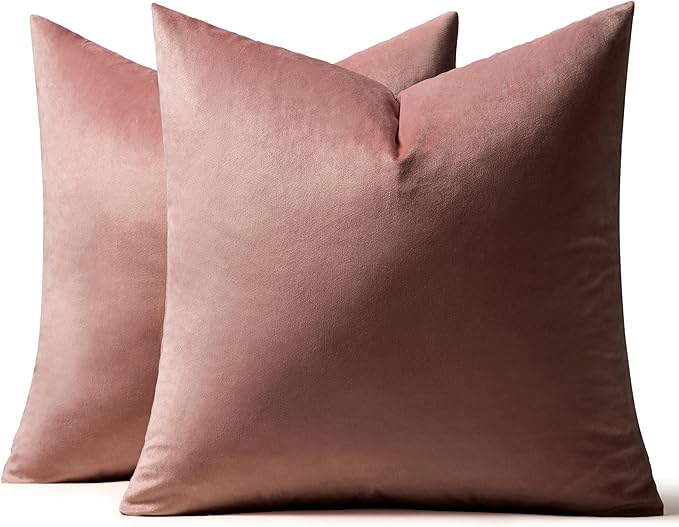 MIULEE Pack of 2 Decorative Velvet Pillow Covers Soft Square Throw Pillow Covers Solid Cushion Covers Jam Pillow Cases for Spring Sofa Bedroom Car 18x18 Inch 45x45 Cm