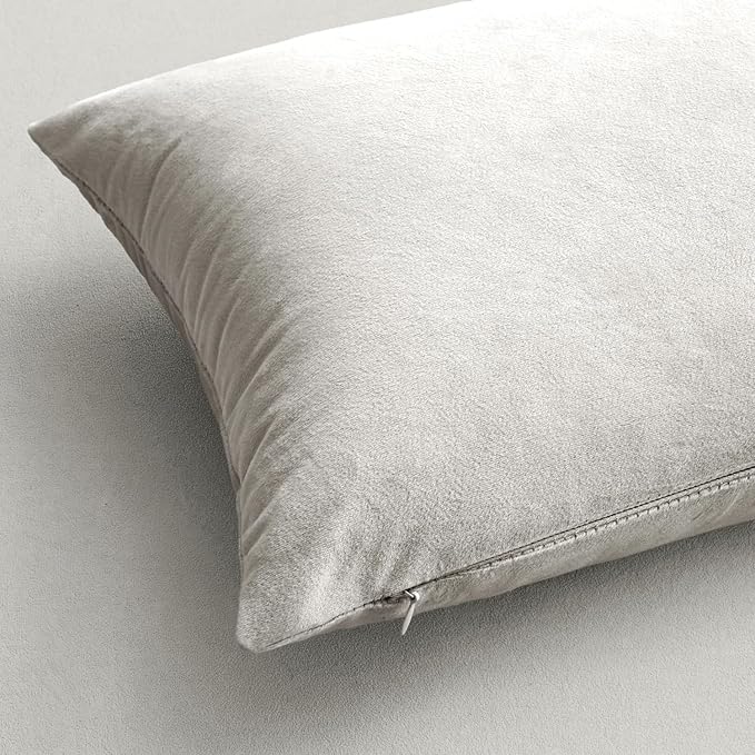 MIULEE Pack of 2, Velvet Soft Solid Decorative Square Throw Pillow Covers Set Cushion Cases Pillowcases for Spring Sofa Bedroom 22x22 Inch Greyish White