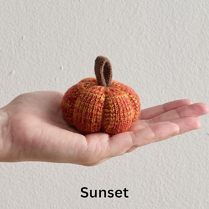 Your Heart's Content Cozy Mini Knit Pumpkin Set of 12 Spiced Orange Green Gold Autumn Table décor, Gift for Friend, Fall Thanksgiving Table (Spiced Maple Full Set)
