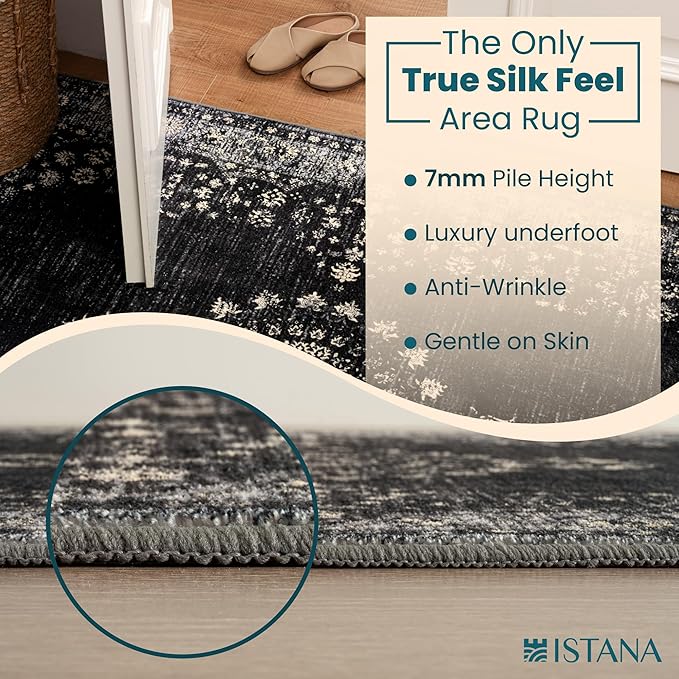 Istana 4x6 Area Rug - Black Rugs for Living Room 4x6 - Foldable Rugs for Bedroom - Stain Resistant Washable Rug - Eco-Friendly Boho Area Rugs - Easy to Clean Living Room Rug 4 x 6
