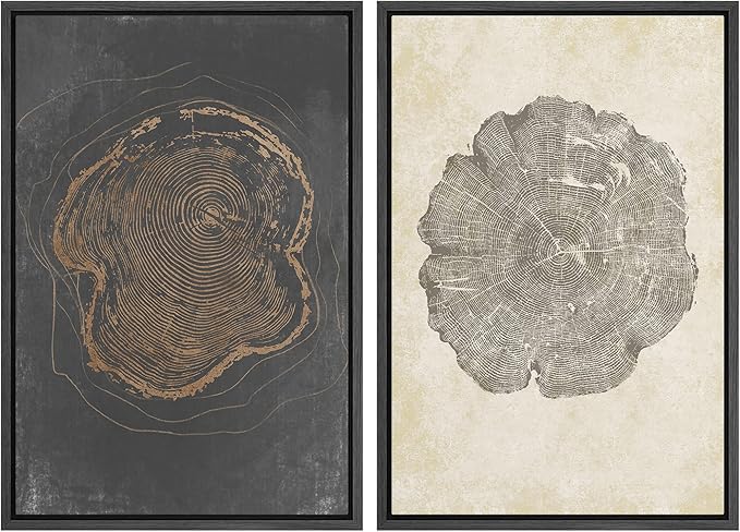 SIGNWIN Framed Canvas Print Wall Art Set Pastel Grunge Forest Tree Rings Abstract Shapes Illustrations Modern Art Decorative Nordic Multicolor for Living Room, Bedroom, Office - 16"x24"x2 Black