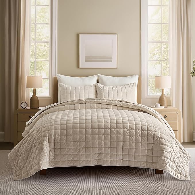 EVERGRACE Pearl Velvet Quilt Full Queen Size Bedding Sets, Luxurious Soft Velvet Comforter Set, Lightweight Box Stitching Oversized Bedspread Coverlet for All Season, with 2 Shams, Birch