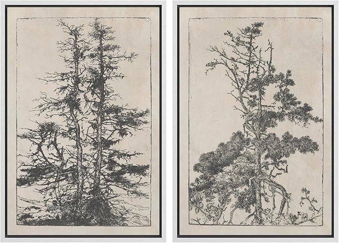 SIGNWIN Framed Canvas Print Wall Art Set Vintage Botanical Tree Sketches Illustrations Modern Art Minimal Boho Relax/Calm for Living Room, Bedroom, Office - 16"x24"x2 White
