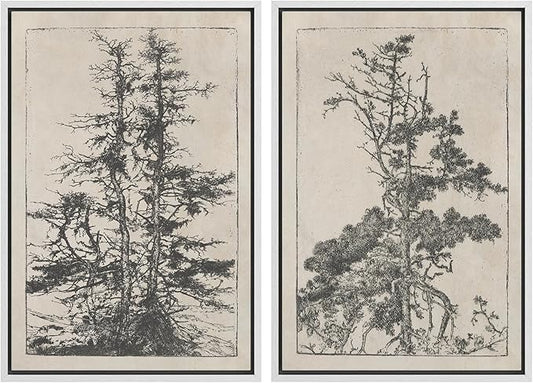 SIGNWIN Framed Canvas Print Wall Art Set Vintage Botanical Tree Sketches Illustrations Modern Art Minimal Boho Relax/Calm for Living Room, Bedroom, Office - 24"x36"x2 White