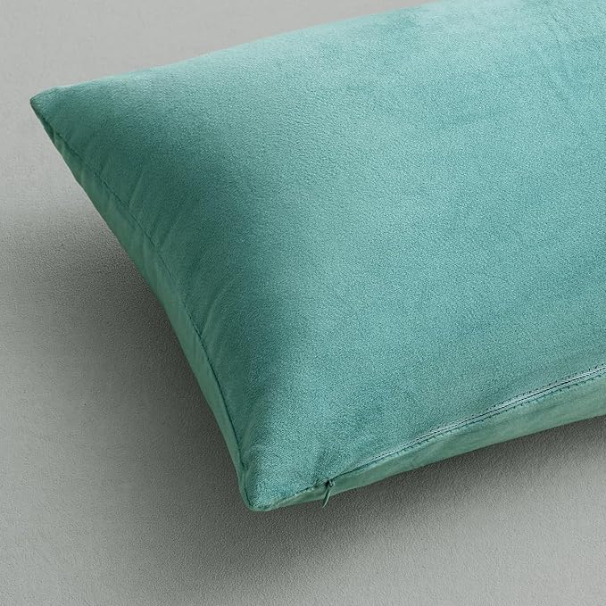 MIULEE Pack of 2, Velvet Soft Solid Decorative Square Throw Pillow Covers Set Cushion Case for Spring Sofa Bedroom Car 20x20 Inch 50x50 Cm Aqua Green