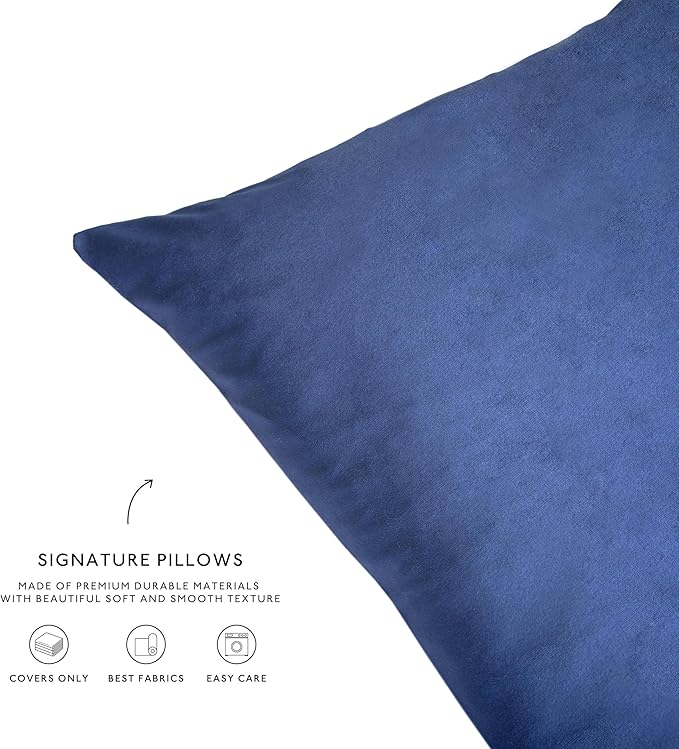 MONDAY MOOSE Decorative Throw Pillow Covers Cushion Cases, Set of 4 Soft Velvet Modern Designs, Mix and Match for Home Decor, Pillow Inserts Not Included (12x20 inch, Purple/Blue)