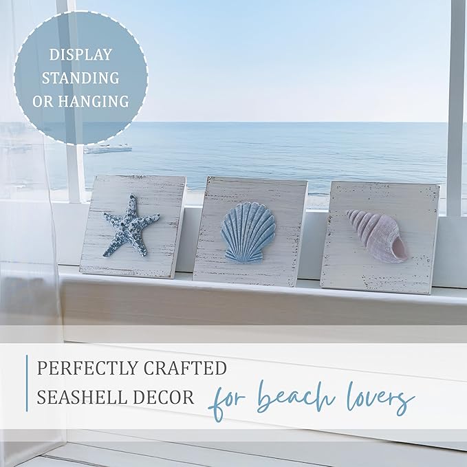 Tide and Tales 3D Beach Wall Art - Seashell with Starfish for Coastal Bathroom Decor, Ocean Inspired Decor for Bathroom, Coastal Bedroom, Living Room or Beach House, Set of 3 (6”x 6”)