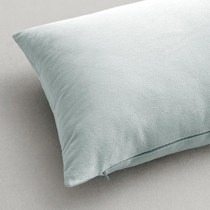 MIULEE Pack of 2 Velvet Pillow Covers Decorative Square Pillowcase Soft Solid Cushion Case for Spring Sofa Bedroom Car 20x20 Inch Baby Blue