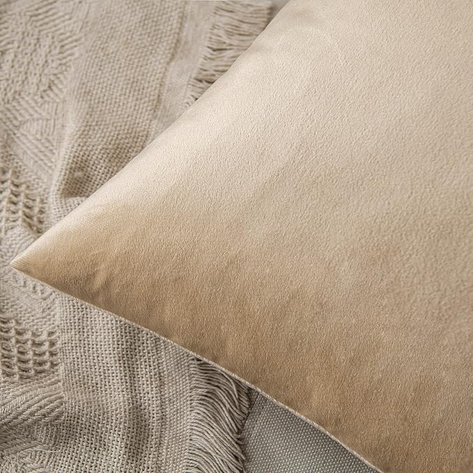 MIULEE Pack of 2 Beige Velvet Throw Pillow Covers 12x20 Inch Soft Solid Decorative Set Lumbar Cushion Cases for Spring Couch Sofa Bedroom
