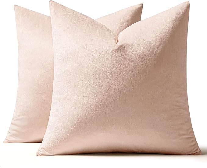 MIULEE Velvet Throw Pillow Covers 20x20 Inch, Pack of 2 - Pink, Super Soft Decorative Square Cushion Cases Modern Luxury Home Decor for Sofa,Couch,Bed,Chair