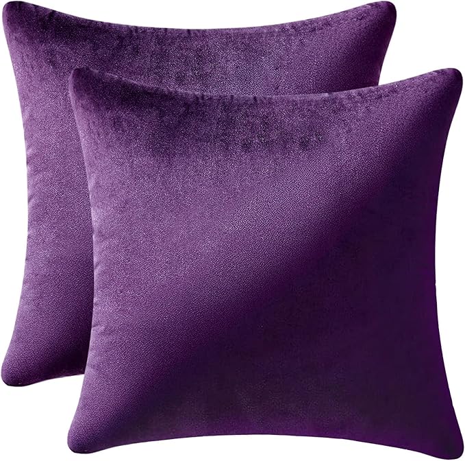 MIULEE Velvet Throw Pillow Covers 18x18 Inch, Pack of 2 - Eggplant Purple, Super Soft Decorative Square Cushion Cases Modern Luxury Home Decor for Sofa,Couch,Bed,Chair