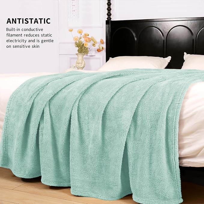 Plush Fleece Throw Blanket for Couch and Bed, Fluffy Fuzzy Cozy Queen-Size Soft Blankets All Season Use (60x80 Inches,Aqua)