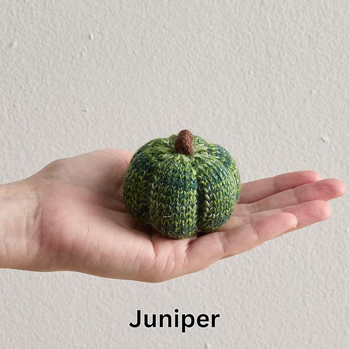 Your Heart's Content Cozy Mini Knit Pumpkins Set of 5 Juniper Green Fall Home décor, Table top Bowl Filler, Gift for New Apartment (Juniper 2.5 Inch Set)