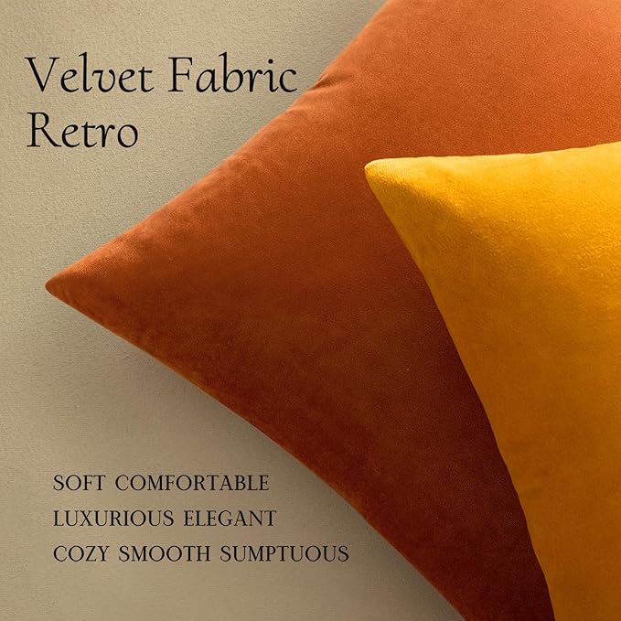 MIULEE Pack of 2 Rust Pillow Covers 18x18 Inch Fall Decorative Velvet Throw Pillow Covers Modern Soft Couch Throw Pillows Farmhouse Home Decor for Sofa Bedroom Living Room