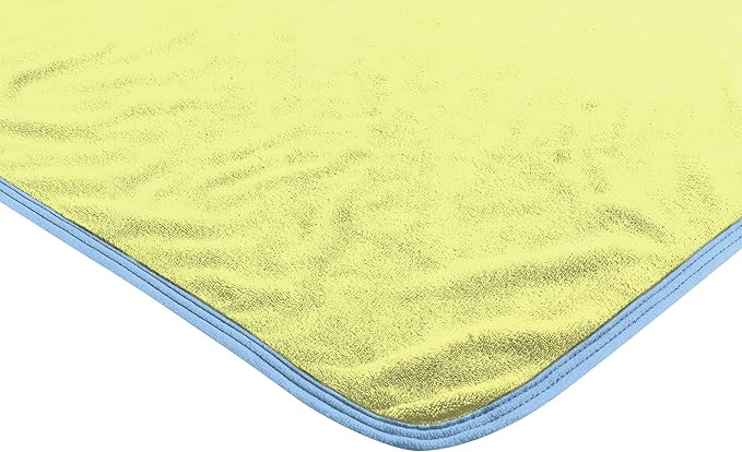 NORTHWEST Bluey Micro Raschel Throw Blanket, 46" x 60", Family Photo