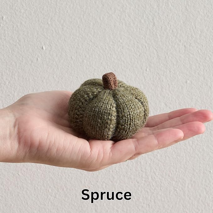 Your Heart's Content Cozy Mini Knit Pumpkins Set of 5 Juniper Green Fall Home décor, Table top Bowl Filler, Gift for New Apartment (Juniper 2.5 Inch Set)