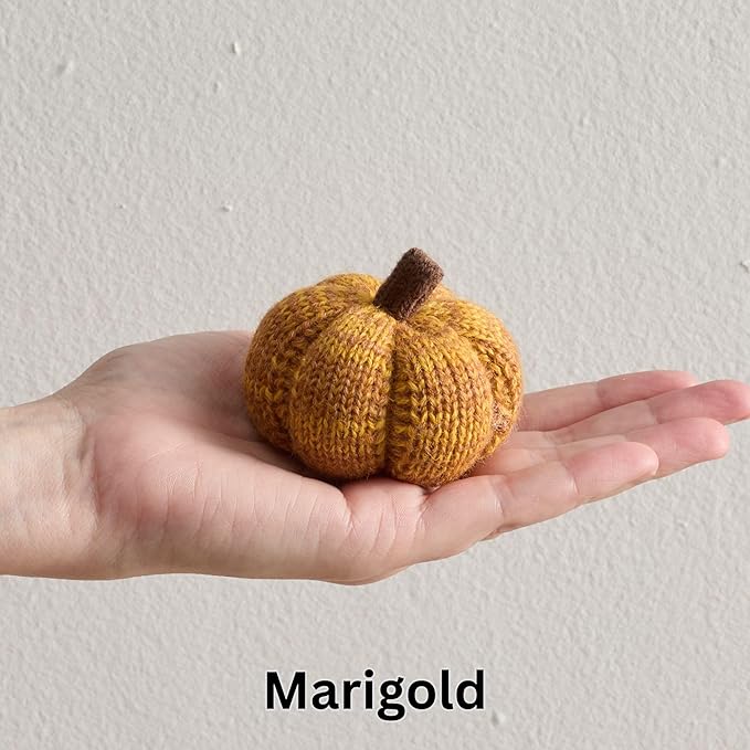 Your Heart's Content Set of 5 Mini Knit Pumpkins, Cozy Autumn Home décor, Green décor, Warm Golden Orange Bowl Filler, Table top Shelf Sitter (Spiced Maple 2.5 Inch Set)