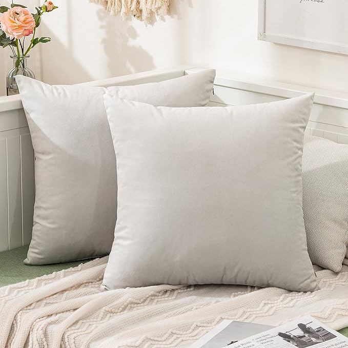 MIULEE Pack of 2, Velvet Soft Solid Decorative Square Throw Pillow Covers Set Cushion Cases Pillowcases for Spring Sofa Bedroom 22x22 Inch Greyish White