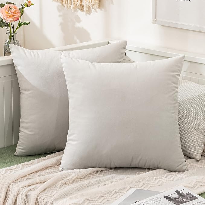 MIULEE Pack of 2 Greyish White Velvet Throw Pillow Covers 20x20 Inch Soft Solid Decorative Square Set Cushion Cases for Spring Couch Sofa Bedroom