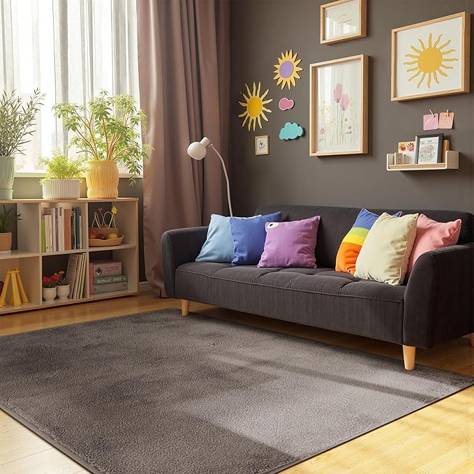 jinchan Solid Plush Area Rug 4x6 Performance Shaggy Washable Rug Indoor Soft Modern Faux Wool Cozy Non Slip Carpet for Living Room Kids Room Bedroom Dining Room Nursery Brown